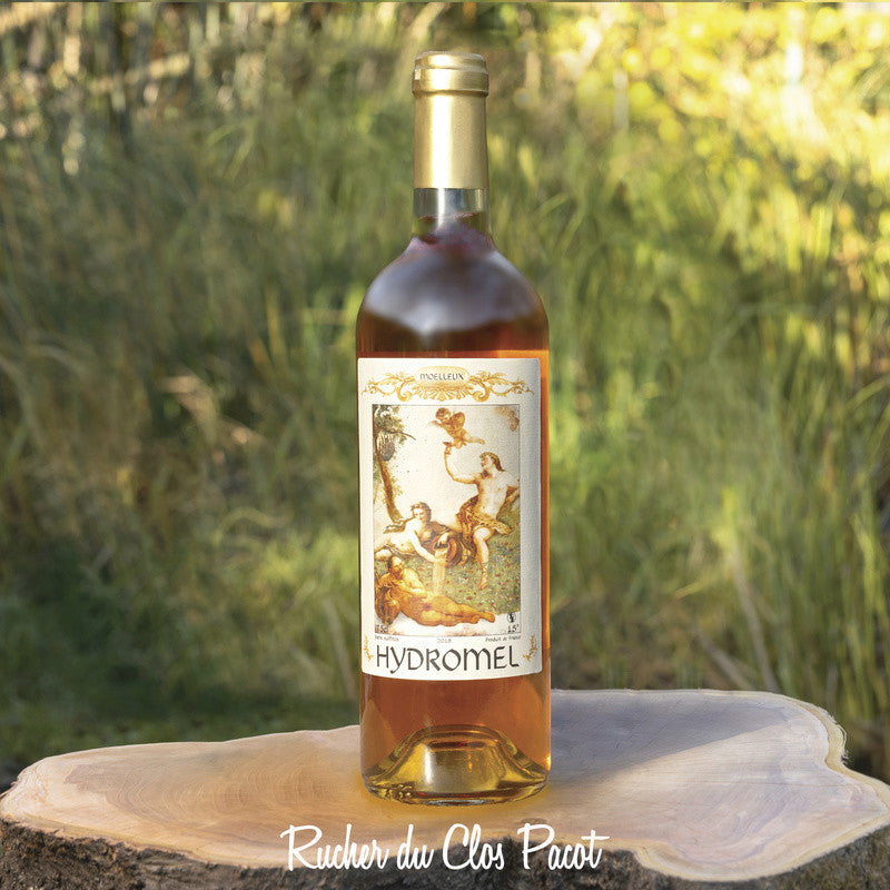 Hydromel Moelleux 24 en Bouteille - Au Miel de Sucy
