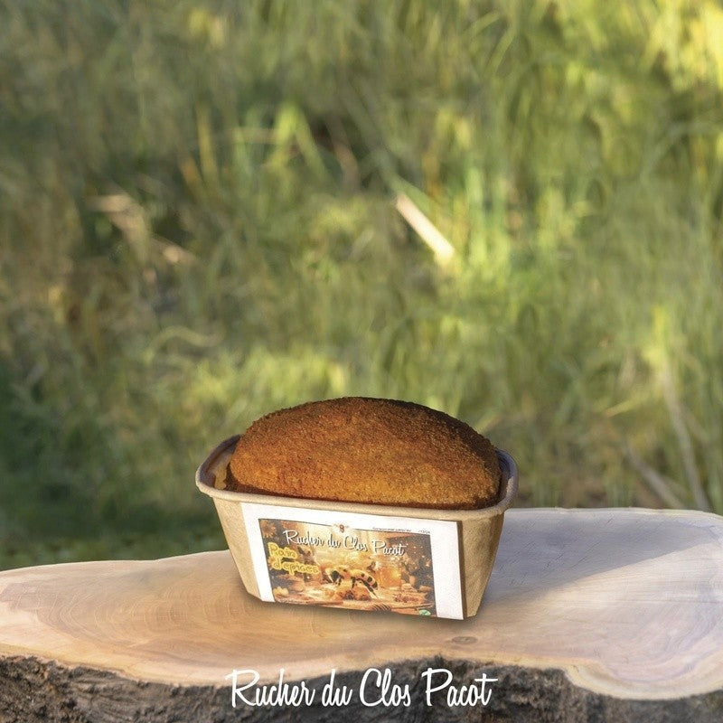 Pain d'épices au Miel de Sucy en Brie - Ss Gluten Lait Sucre