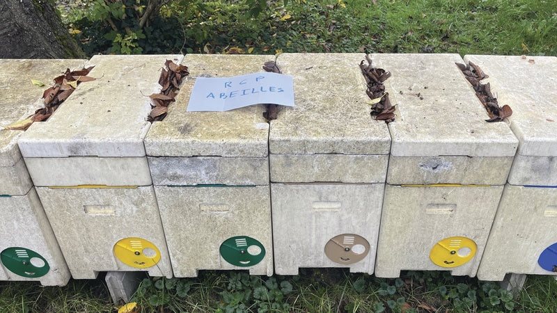 Printemps - Acompte Essaim d'Abeilles Frère Adam Buckfast